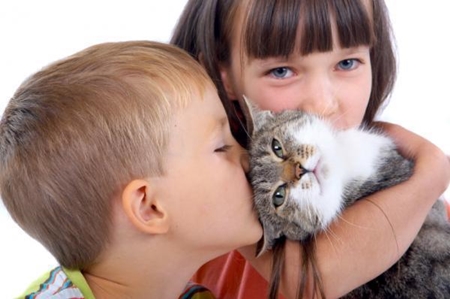 Аллергия на кошек у детей: симптомы и лечение аллергии на шерсть кошек у детей
