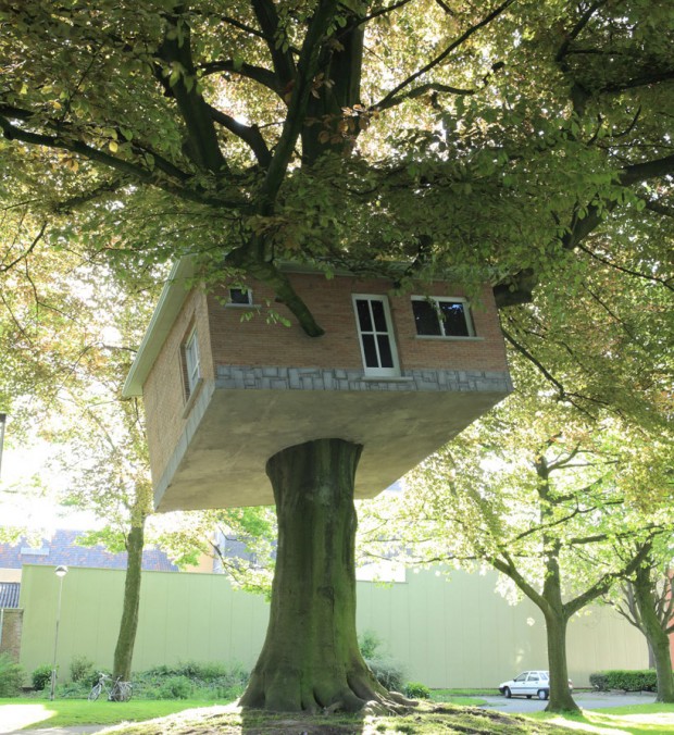 Скошенный домик на дереве