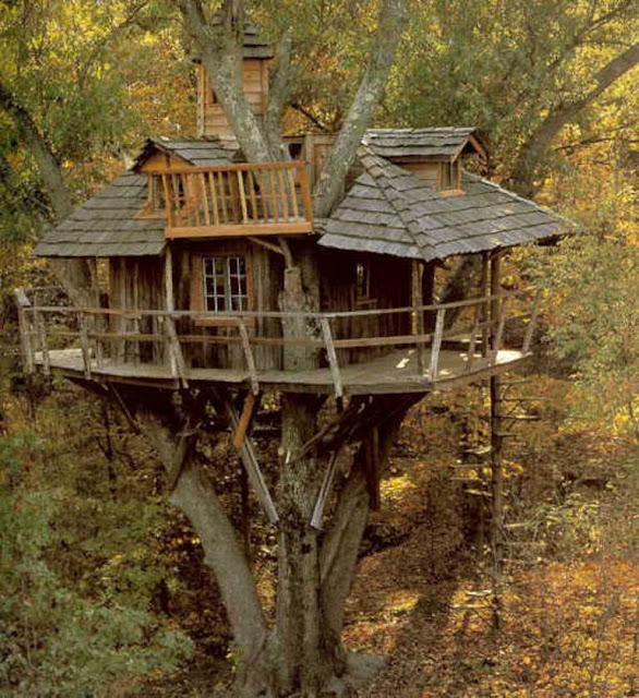 Дома на деревьях