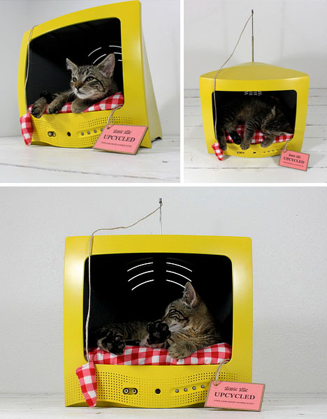 Удобные места для сна для кошек