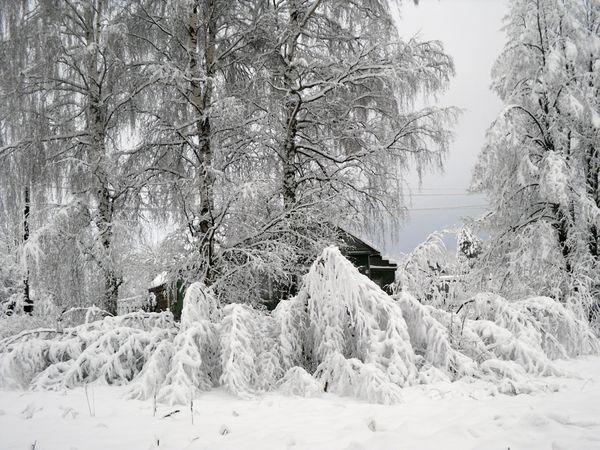 Как выжить без  электричества во занесенной снегом деревне